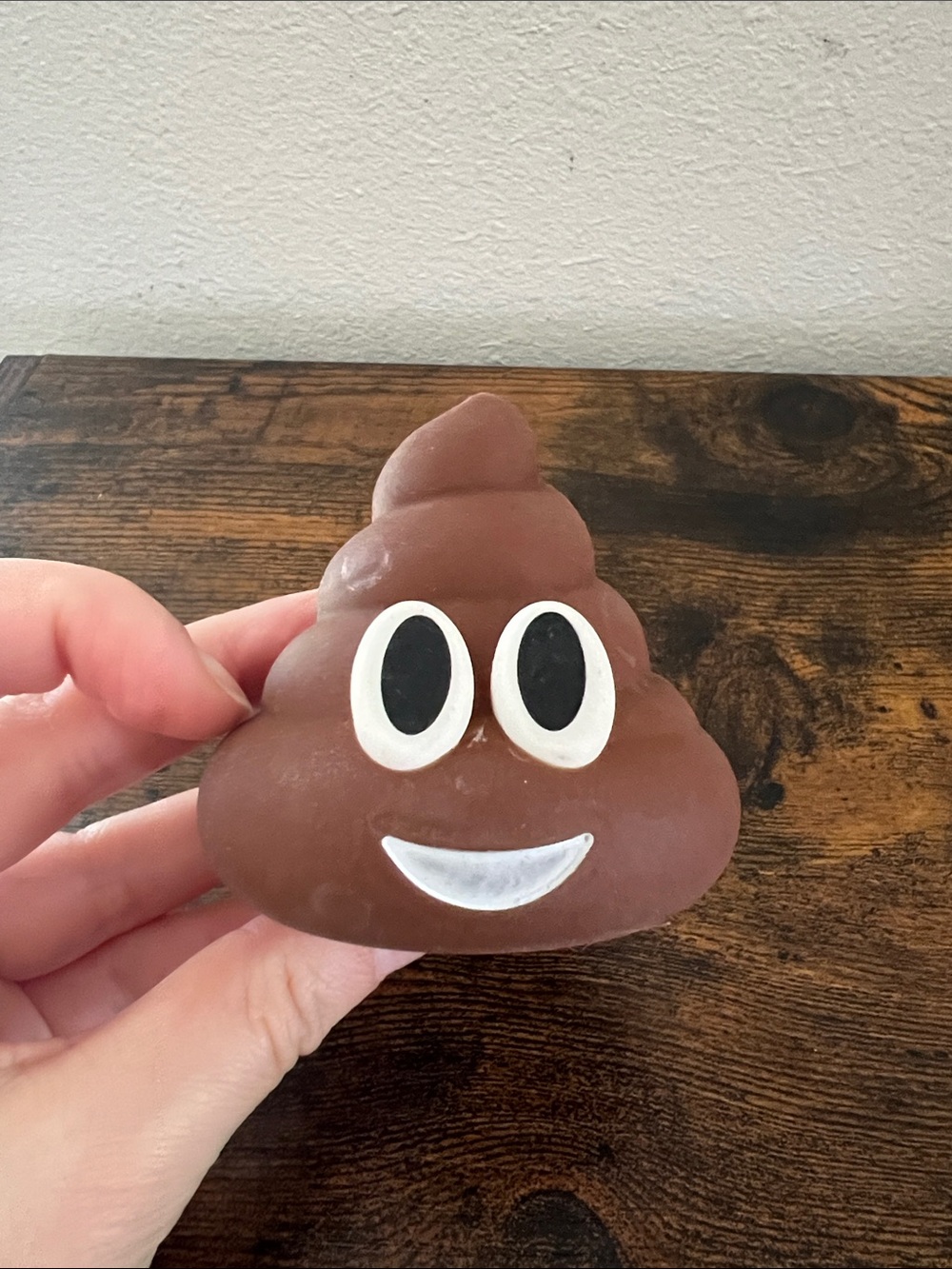 Ice Mold Poop Emoji Funny Gift Kids